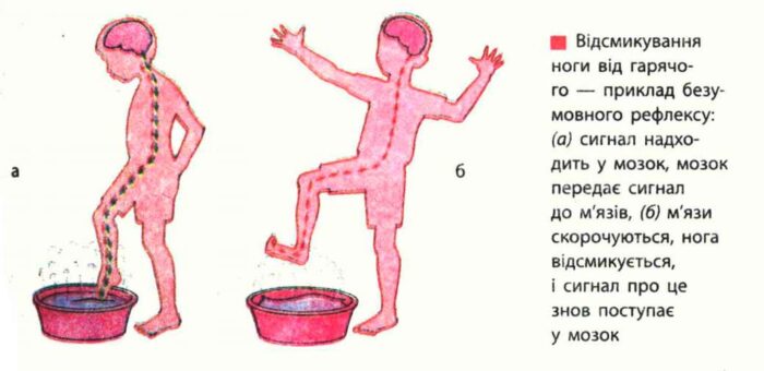 blog-aritcle - Пугаем приходящего системного администратора - bg