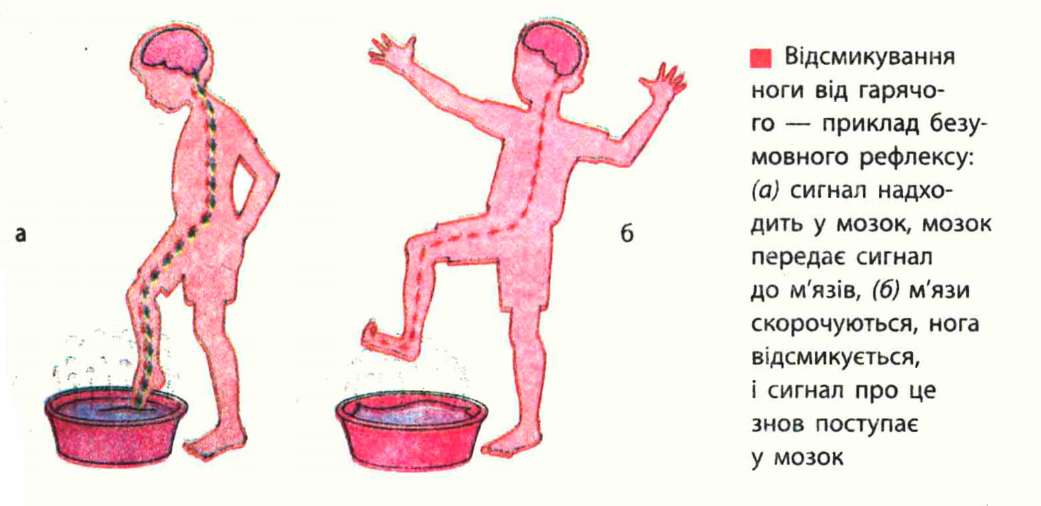 blog-aritcle — Пугаем приходящего системного администратора — bg blog-aritcle - Пугаем приходящего системного администратора - bg